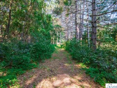 165 NW 150th Lane Andover MN 55304
