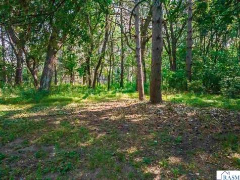 165 NW 150th Lane Andover MN 55304