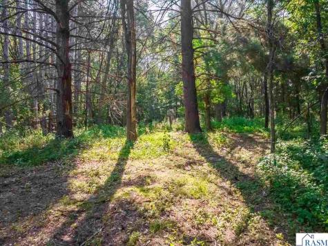 165 NW 150th Lane Andover MN 55304