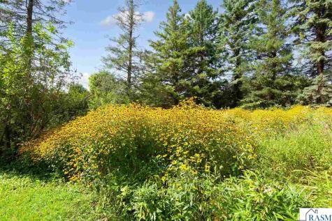 58357 Birch Bluff Lane North Mankato MN 56003