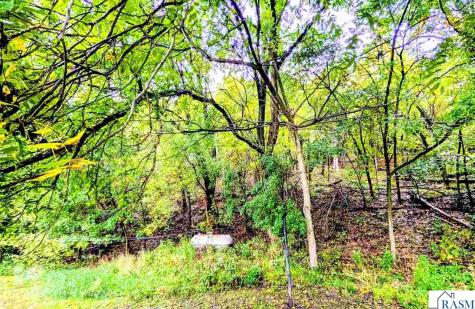 41544 595th Lane New Ulm MN 56073