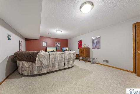 308 Meadow Woods Drive Mankato MN 56001