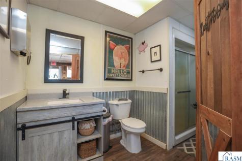 38962 W Elysian Lake Road Janesville MN 56048