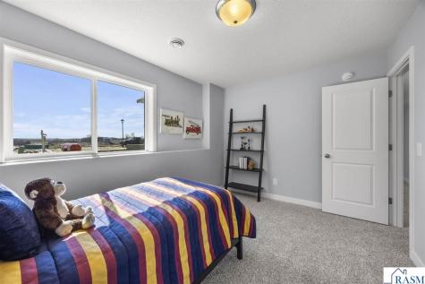2017 Aster Lane Mankato MN 56001