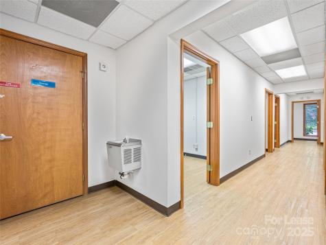 6 Brooklet Street Asheville NC 28801