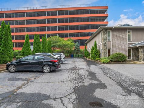 6 Brooklet Street Asheville NC 28801