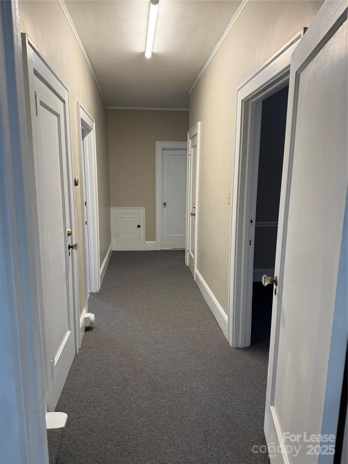 1012 East Boulevard Charlotte NC 28203