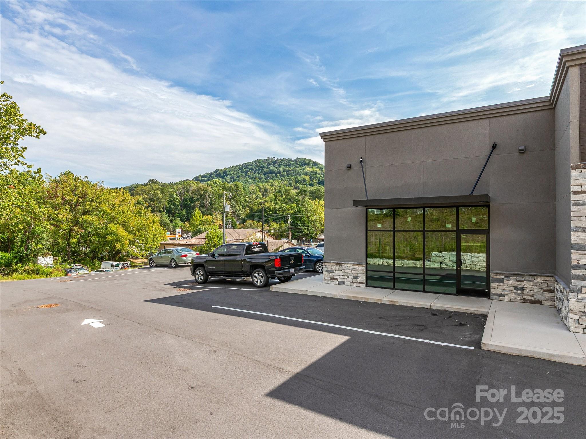 94 Old Beaverdam Creek Road Woodfin NC 28804