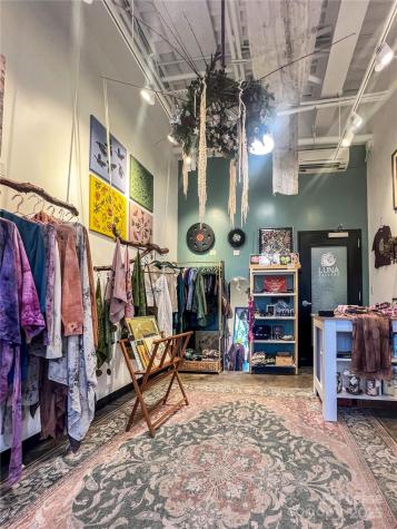 20 Artful Way Asheville NC 28801