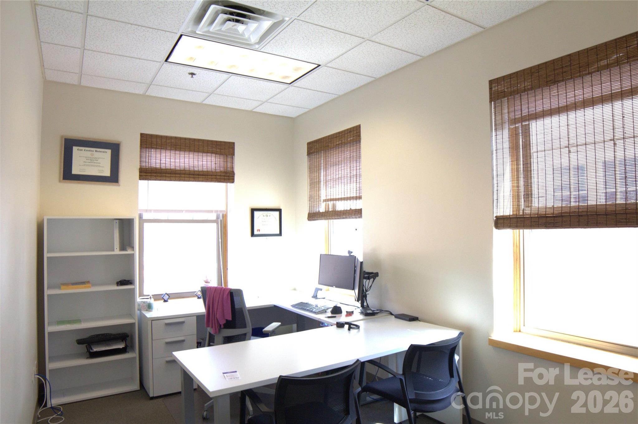 56 College Street Asheville NC 28801
