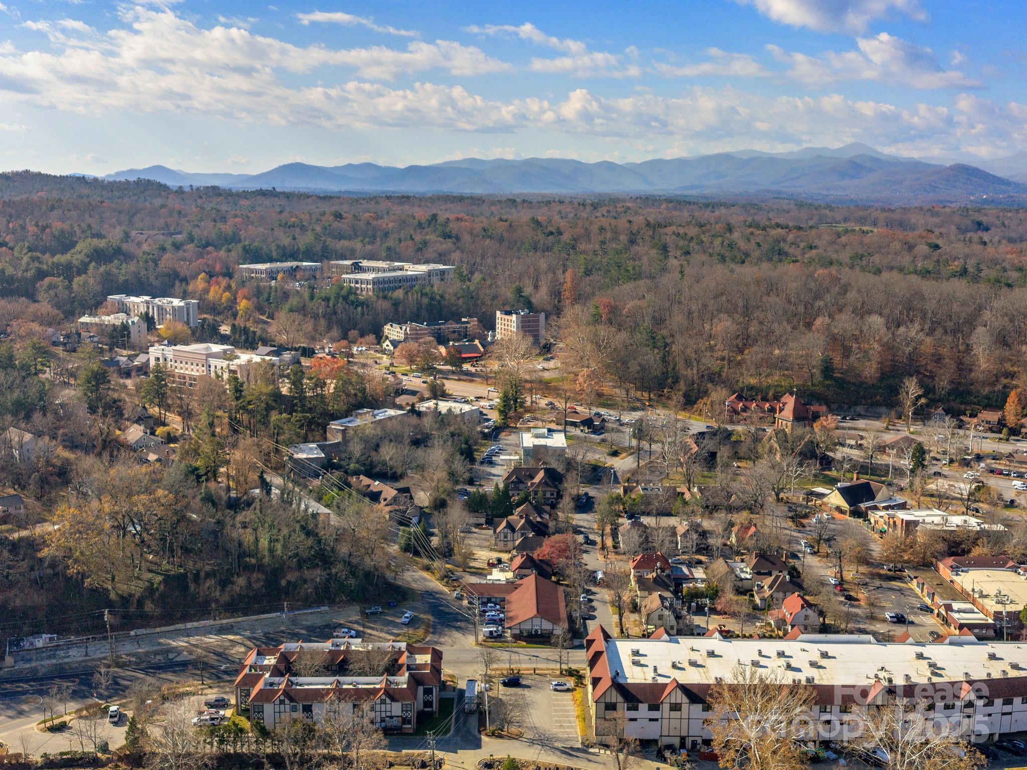 1 All Souls Crescent Asheville NC 28803