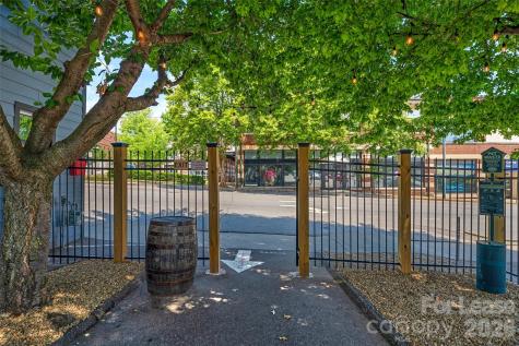 81 Coxe Avenue Asheville NC 28801