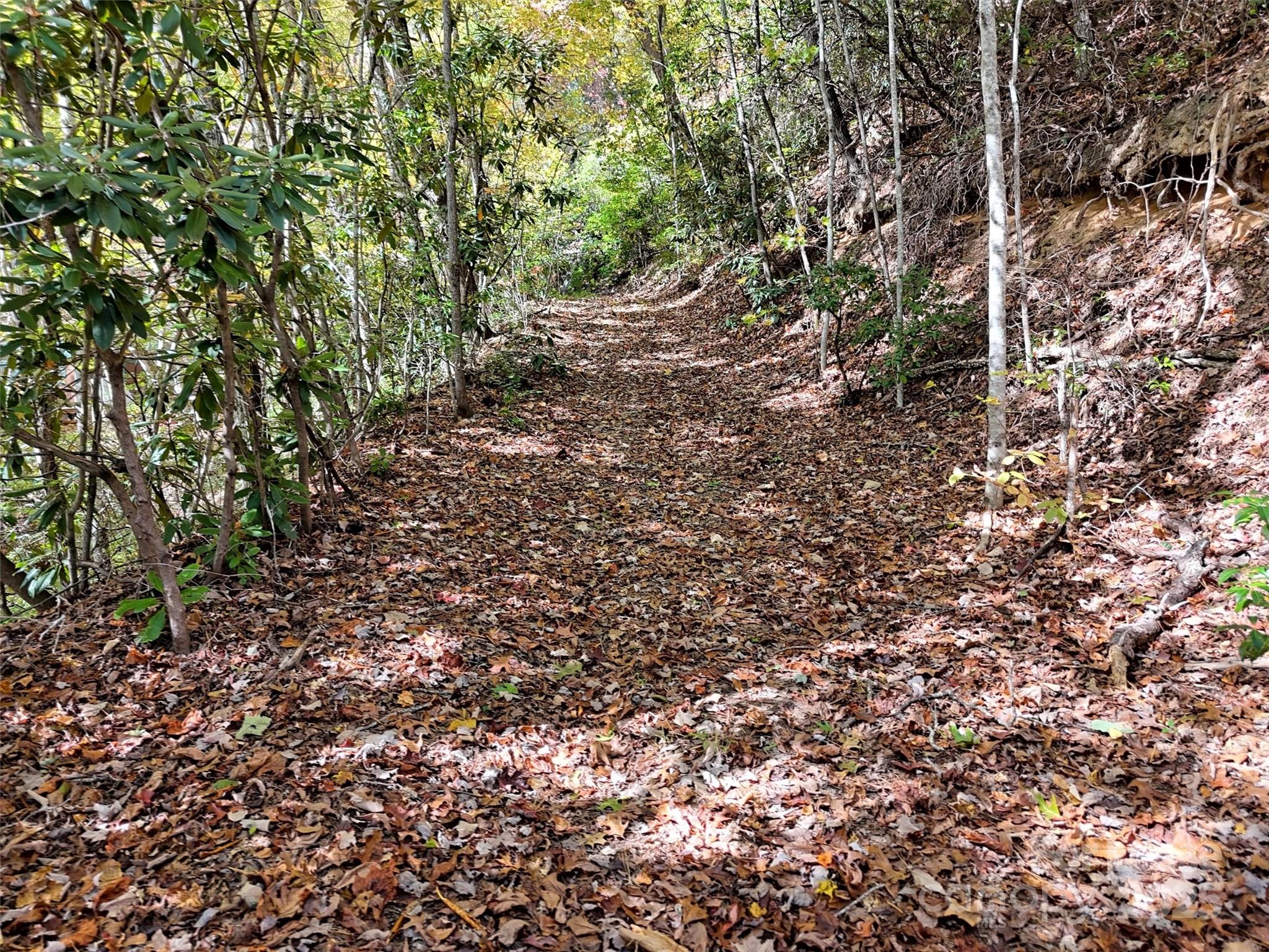 Tbd Mack Luke Road Whittier NC 28789