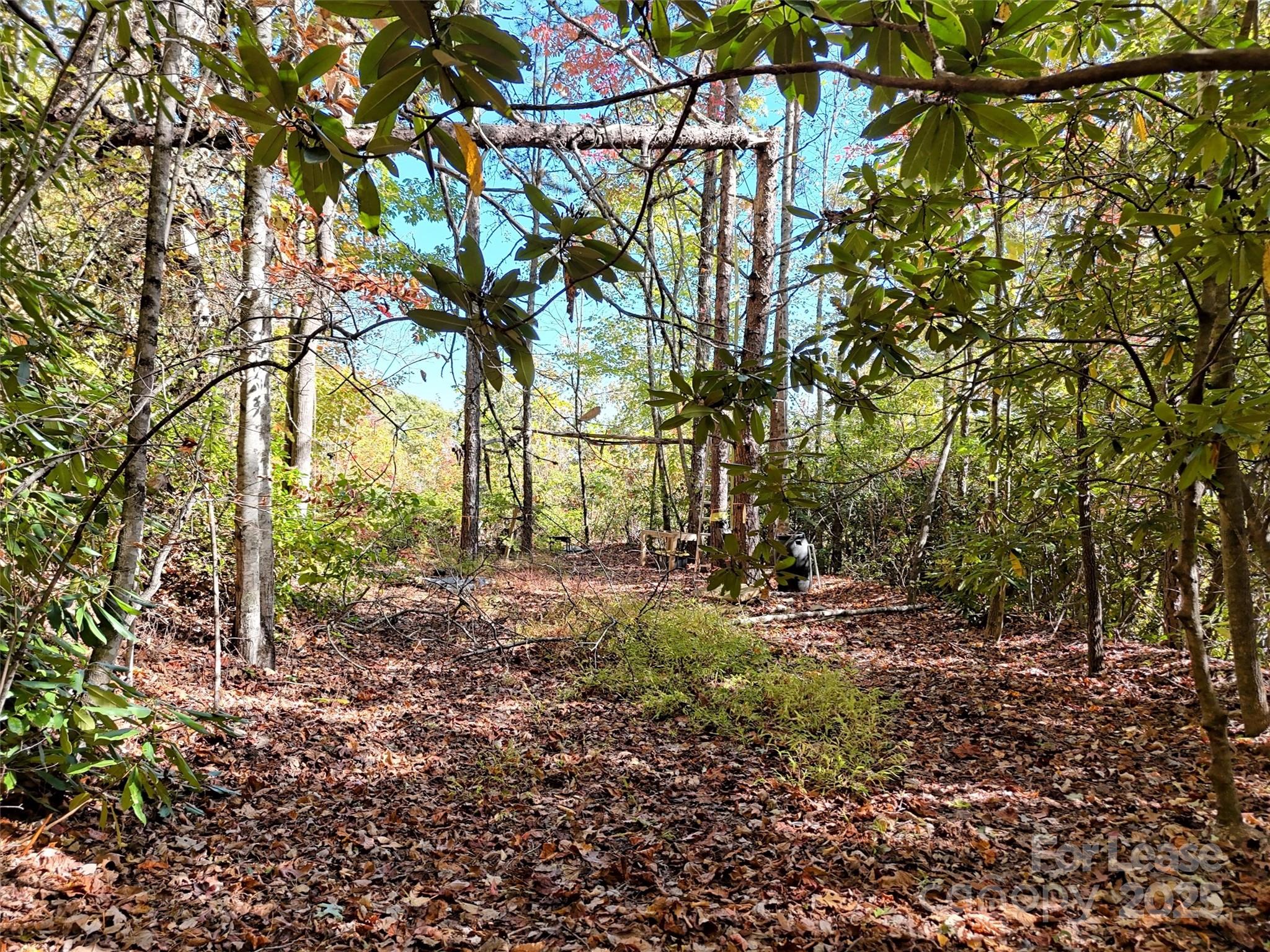 Tbd Mack Luke Road Whittier NC 28789