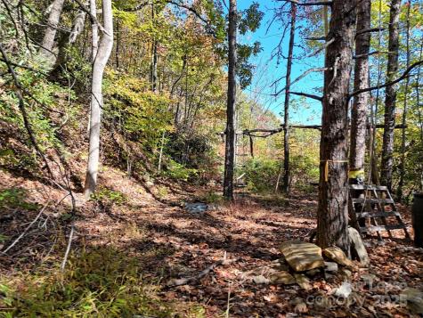 Tbd Mack Luke Road Whittier NC 28789