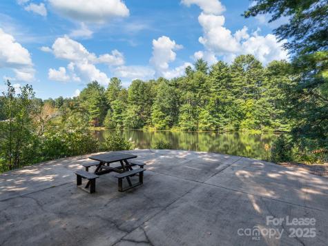 447 Lily Pad Lane Flat Rock NC 28731