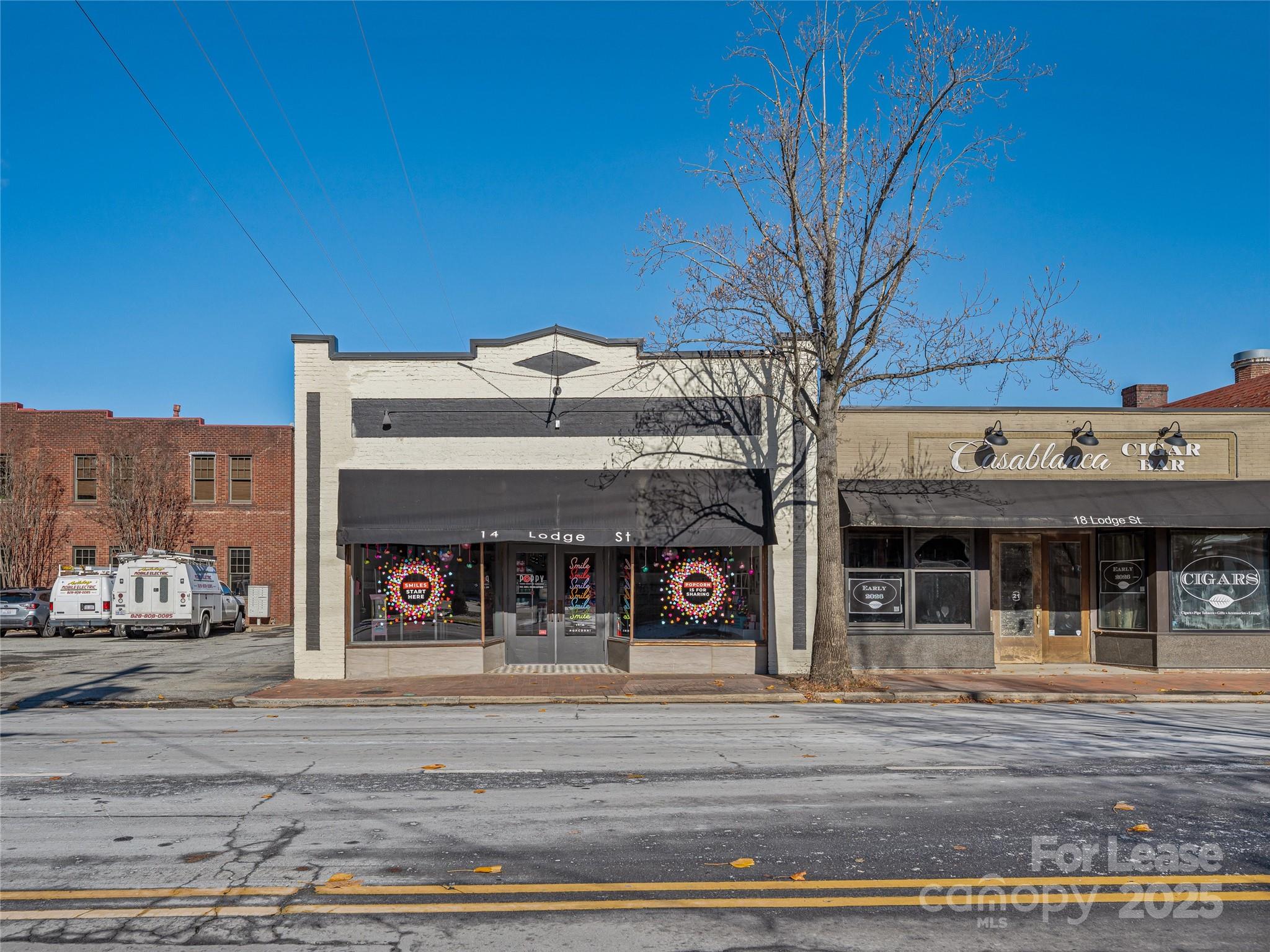 14 Lodge Street Asheville NC 28803