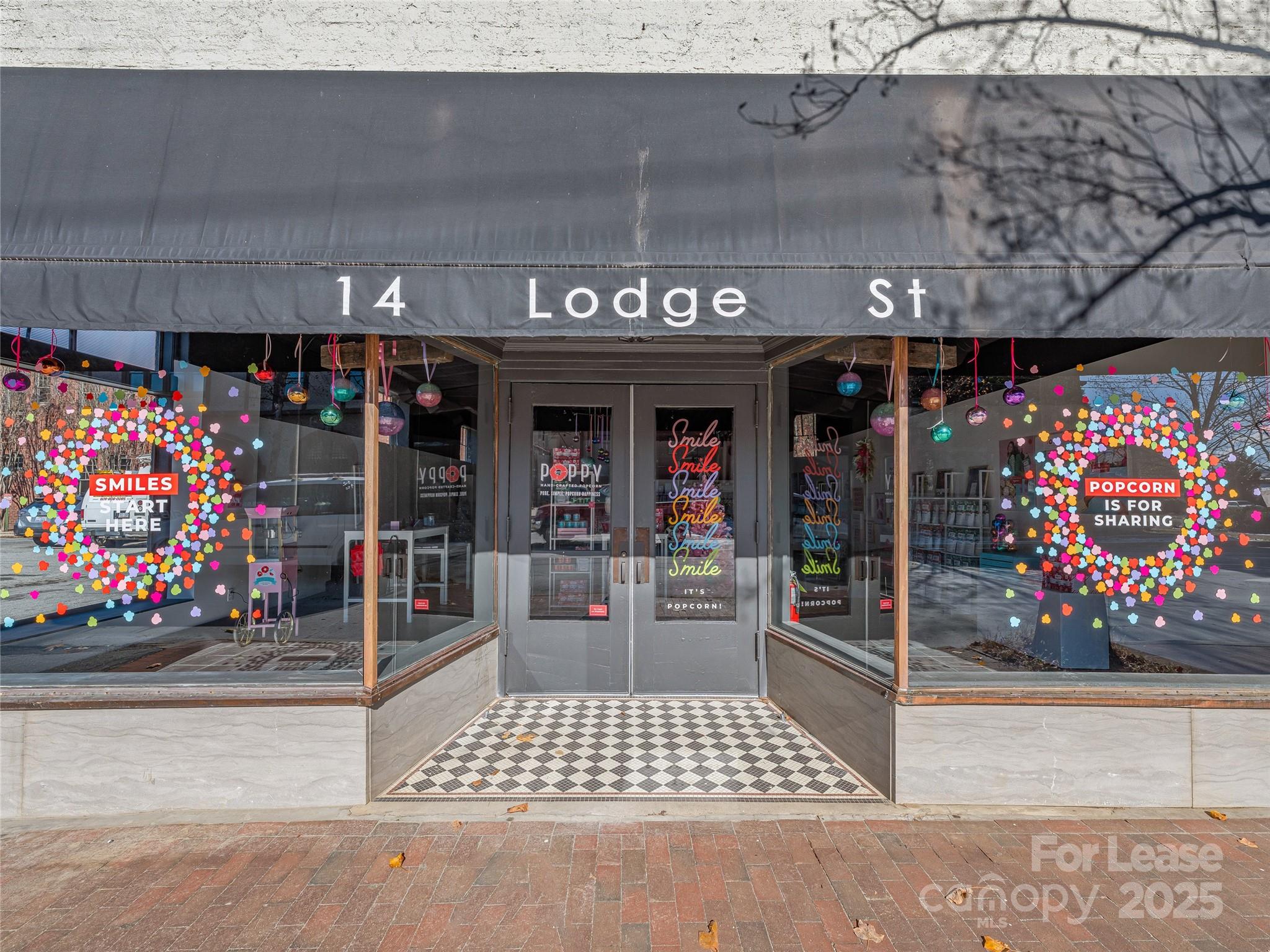 14 Lodge Street Asheville NC 28803