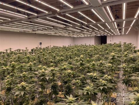 80 Allegiance Lane Waynesville NC 28786