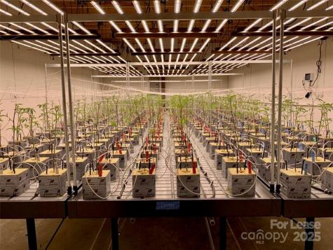 80 Allegiance Lane Waynesville NC 28786