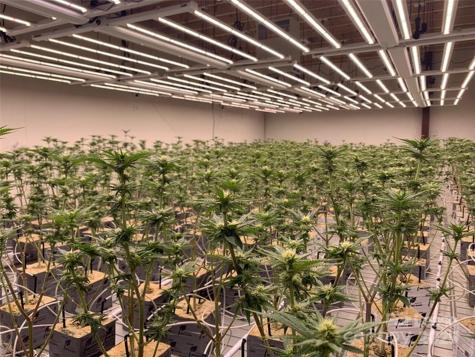 80 Allegiance Lane Waynesville NC 28786