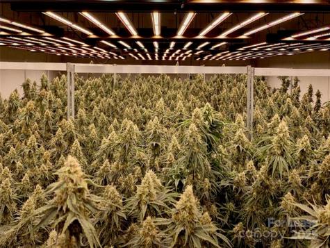 80 Allegiance Lane Waynesville NC 28786