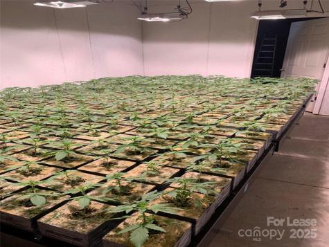 80 Allegiance Lane Waynesville NC 28786