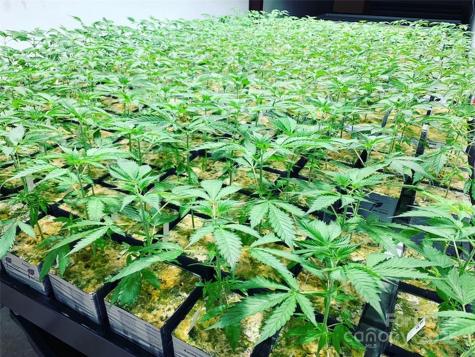 80 Allegiance Lane Waynesville NC 28786