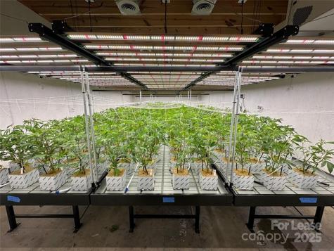 80 Allegiance Lane Waynesville NC 28786