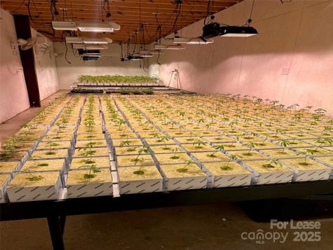 80 Allegiance Lane Waynesville NC 28786