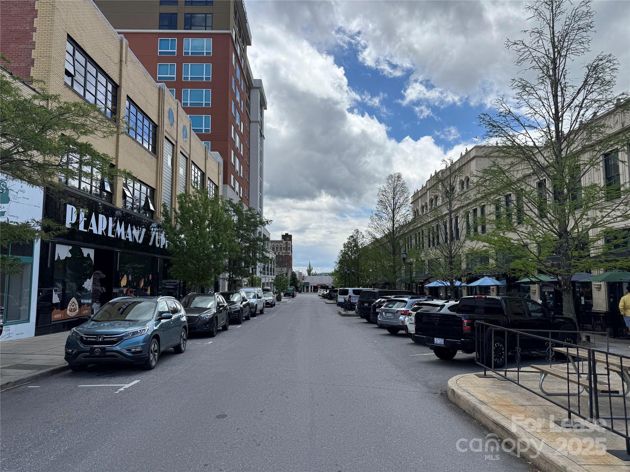 25 Page Avenue Asheville NC 28801