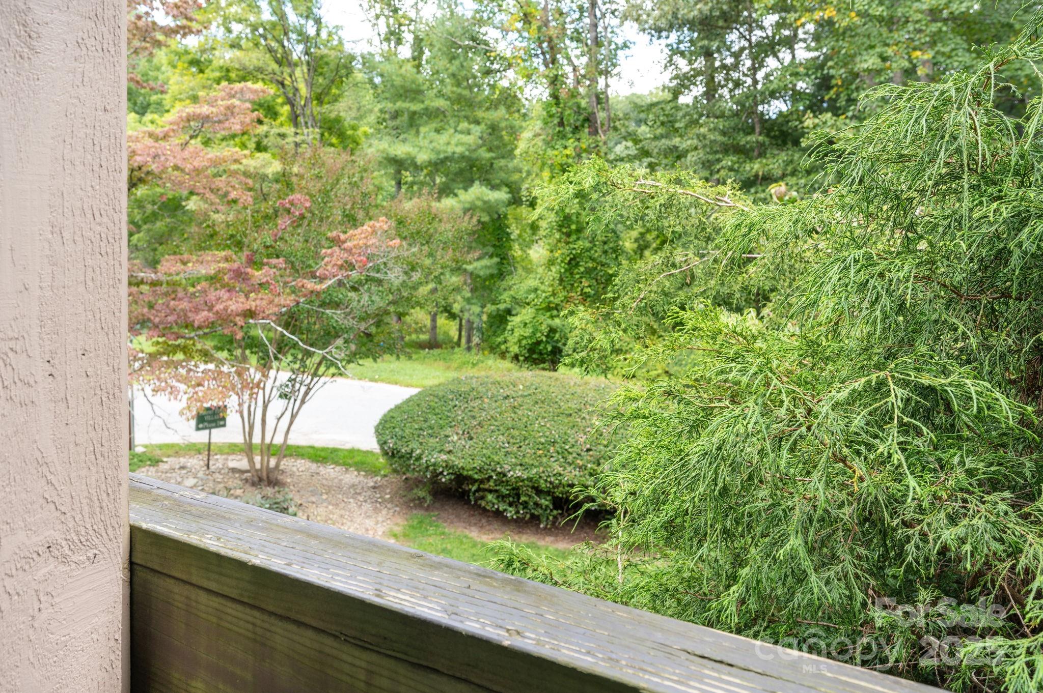 33 Lake Drive Hendersonville NC 28739