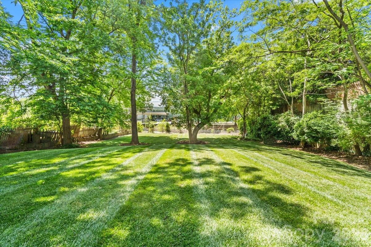 1160 S Kings Drive Charlotte NC 28207