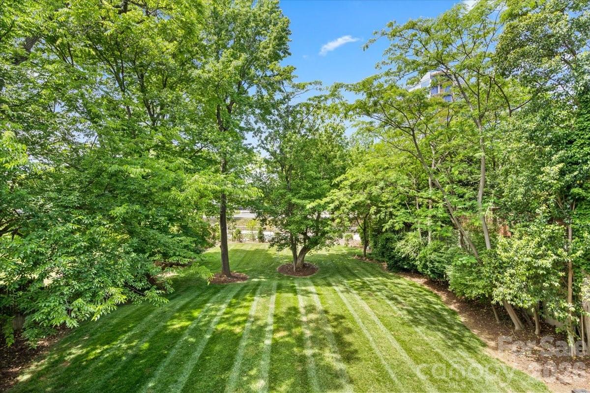 1160 S Kings Drive Charlotte NC 28207