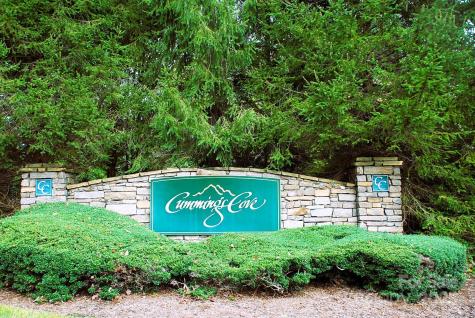 8A Cove Overlook Drive Hendersonville NC 28739