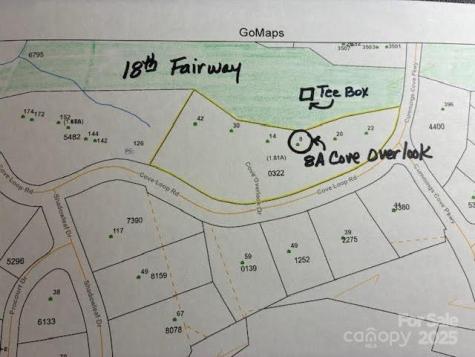 8A Cove Overlook Drive Hendersonville NC 28739