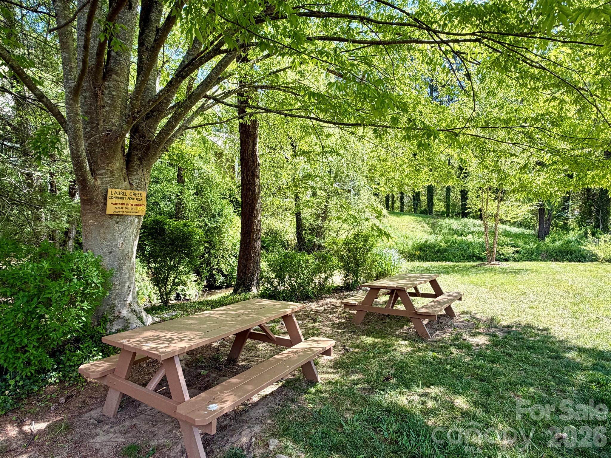 8 Creekside Lane Asheville NC 28803