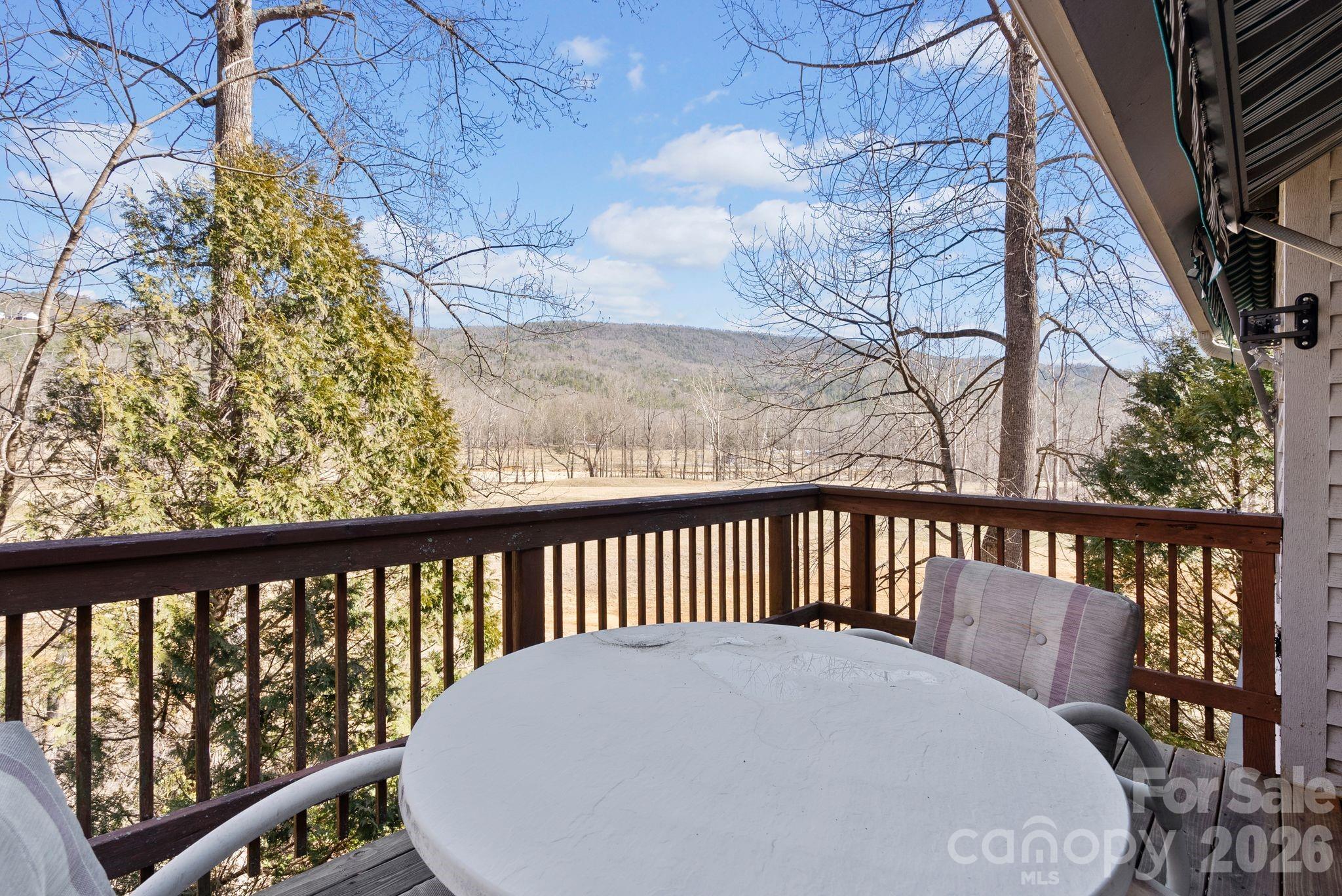 299 Blue Ridge Drive S Marion NC 28752