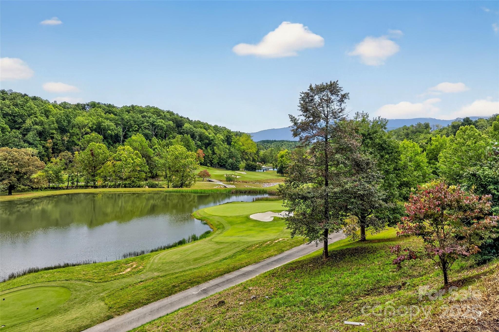 305 Clubhouse Lane Mill Spring NC 28756
