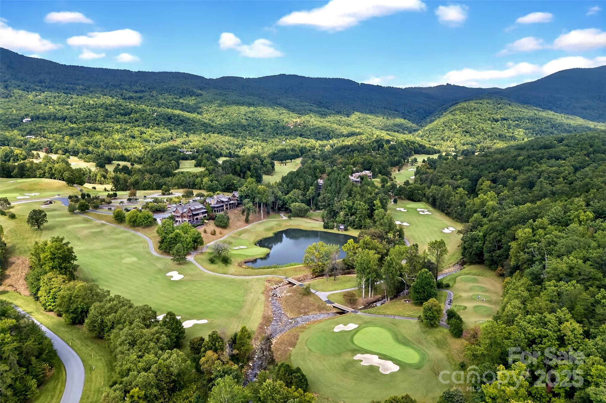 305 Clubhouse Lane Mill Spring NC 28756