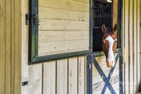 305 Clubhouse Lane Mill Spring NC 28756