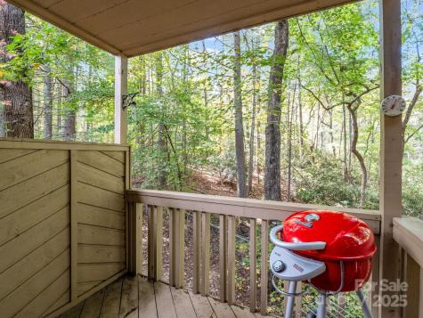 405 N Scarlet Oak Lane Hendersonville NC 28791