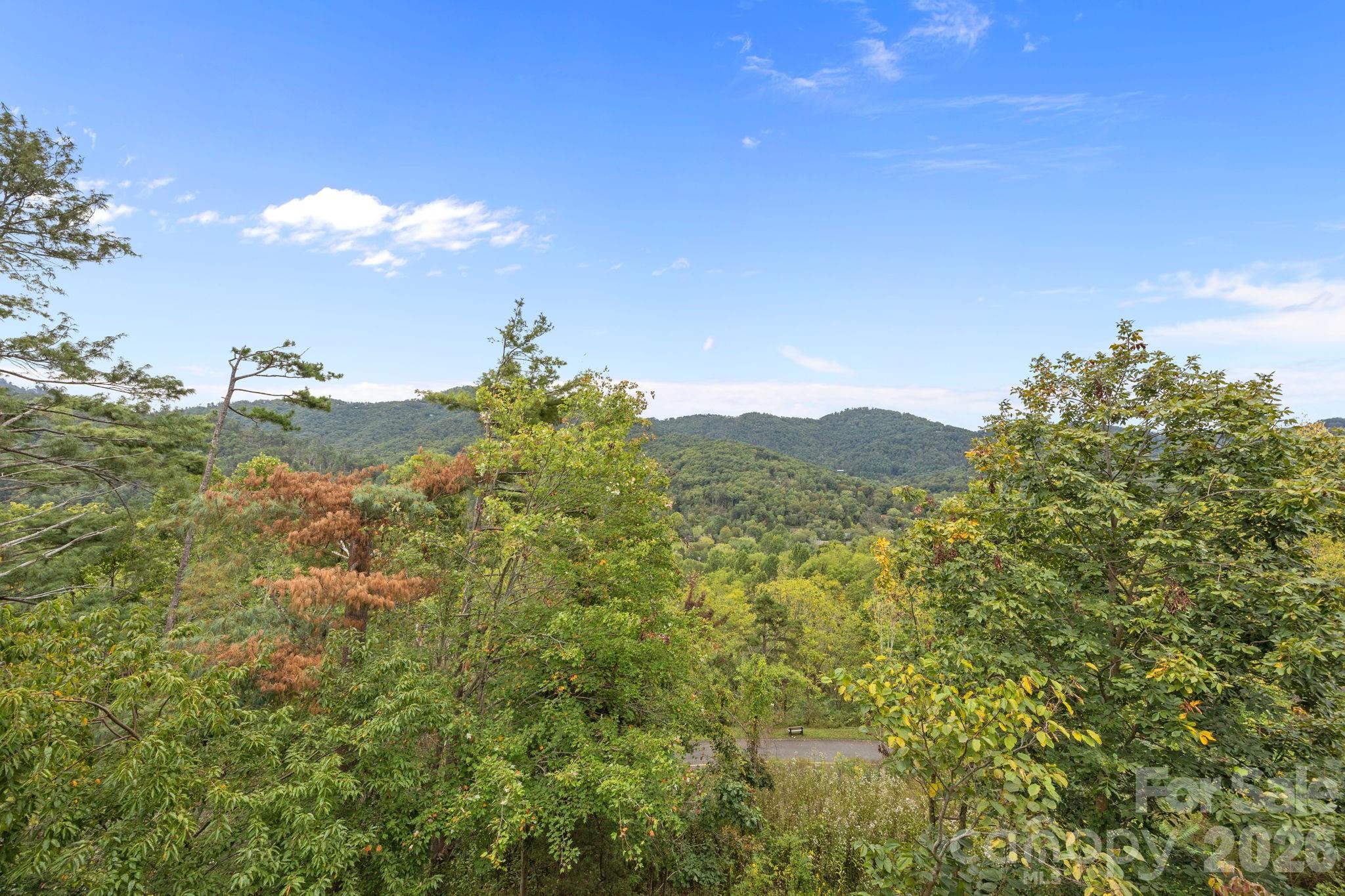 68 Stony Ridge Asheville NC 28804