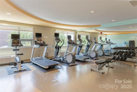 151 Haywood Street Asheville NC 28801