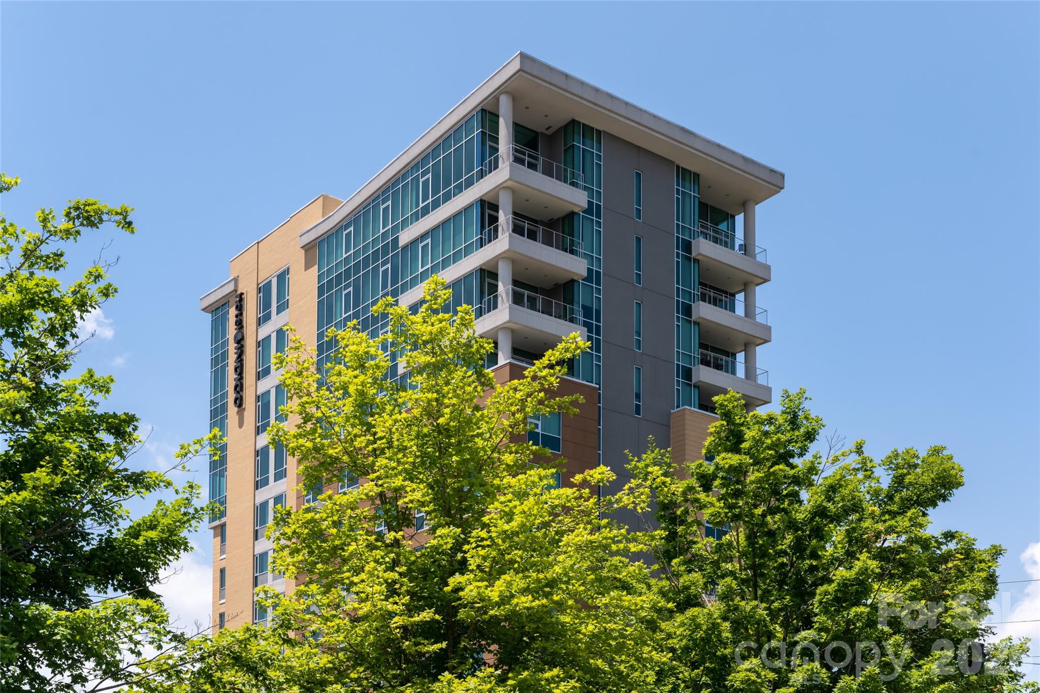 151 Haywood Street Asheville NC 28801