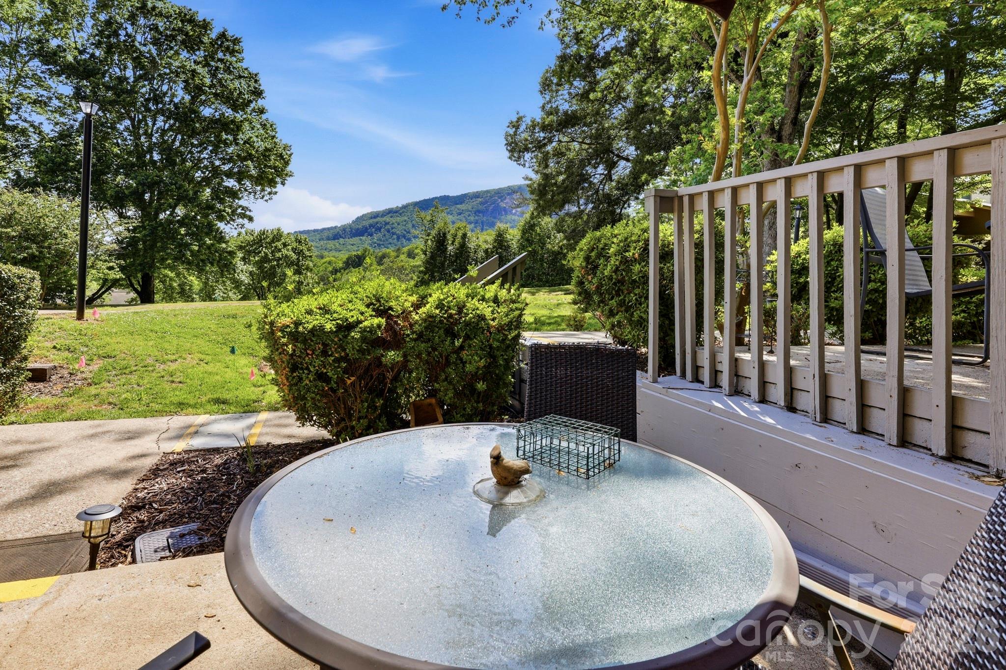 126 Hillside Court Lake Lure NC 28746