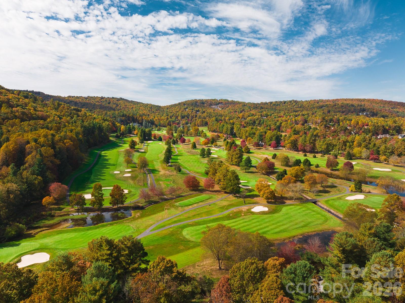 303 Golfside Drive Flat Rock NC 28731