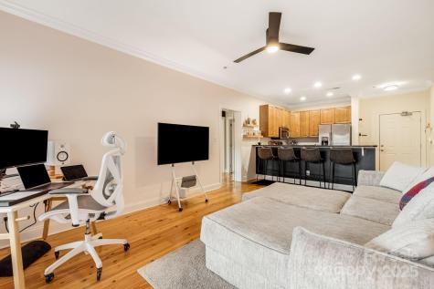 175 S Lexington Avenue Asheville NC 28801