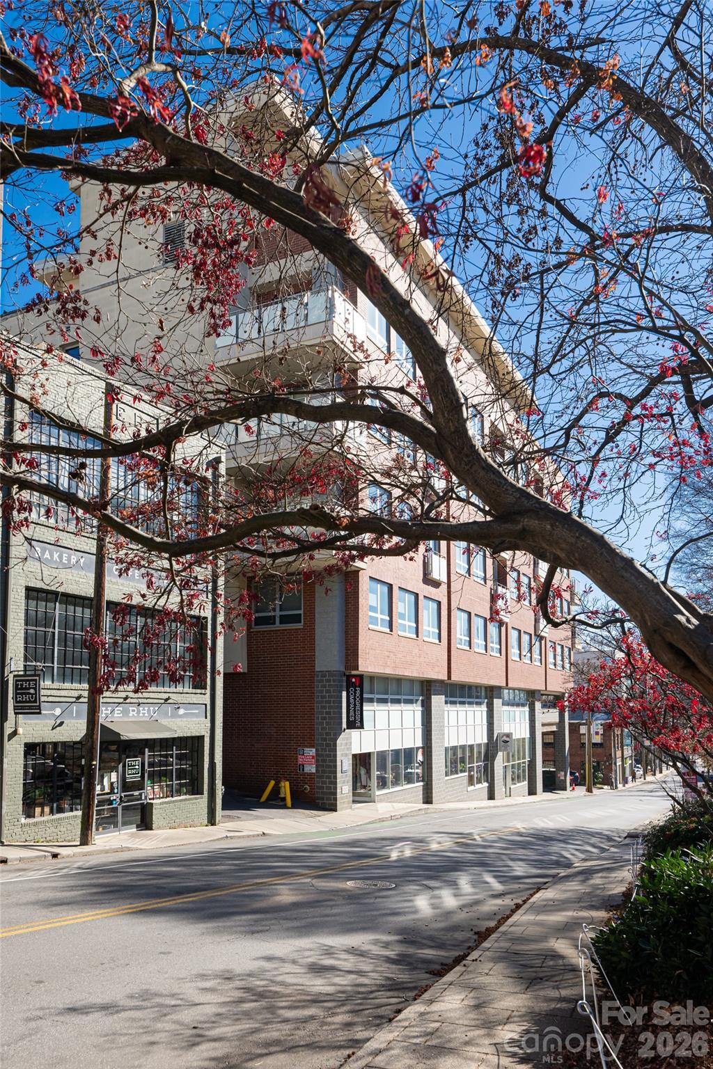 12 S Lexington Avenue Asheville NC 28801