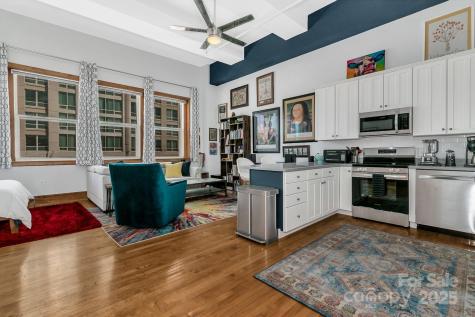 59 College Street Asheville NC 28801